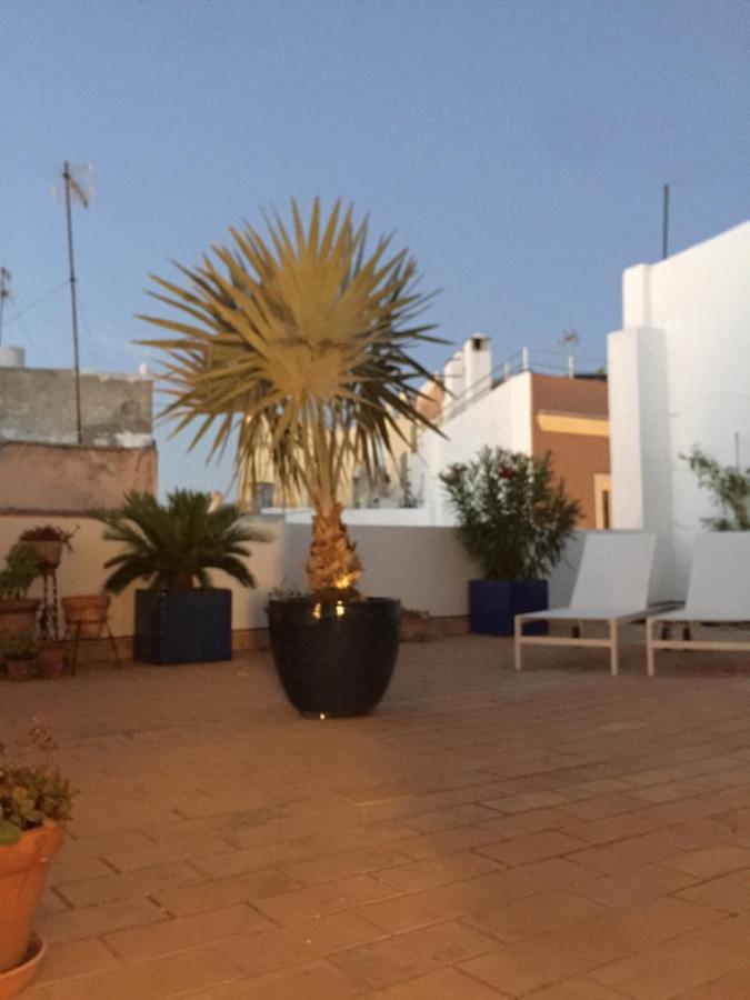 דירות קדיז La Terraza De San Pedro מראה חיצוני תמונה
